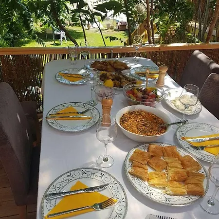 Thailanda In Katakolo *