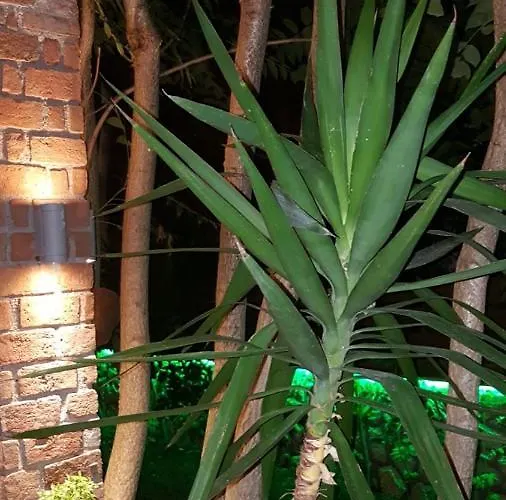 Apartmán Thailanda In Katakolo